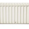 Container DS, mit Schloss