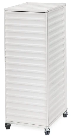 Container DS Plus