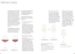 Endlich Wein verstehen