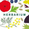 Herbarium