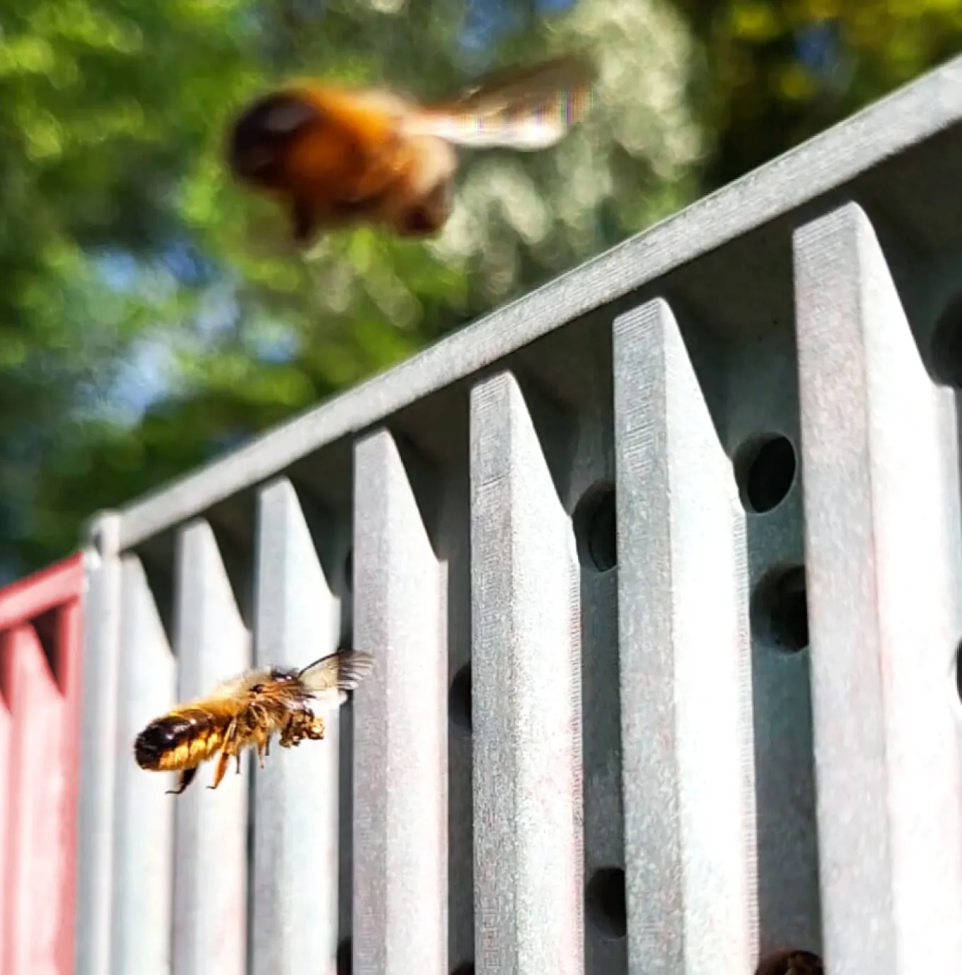 Nisthilfe Wildbienen-Hotel, Container