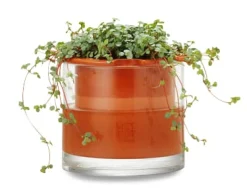Pflanzgefäß Wet Pot Systems