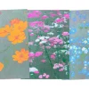 Postkarten-Set Riso