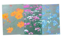 Postkarten-Set Riso