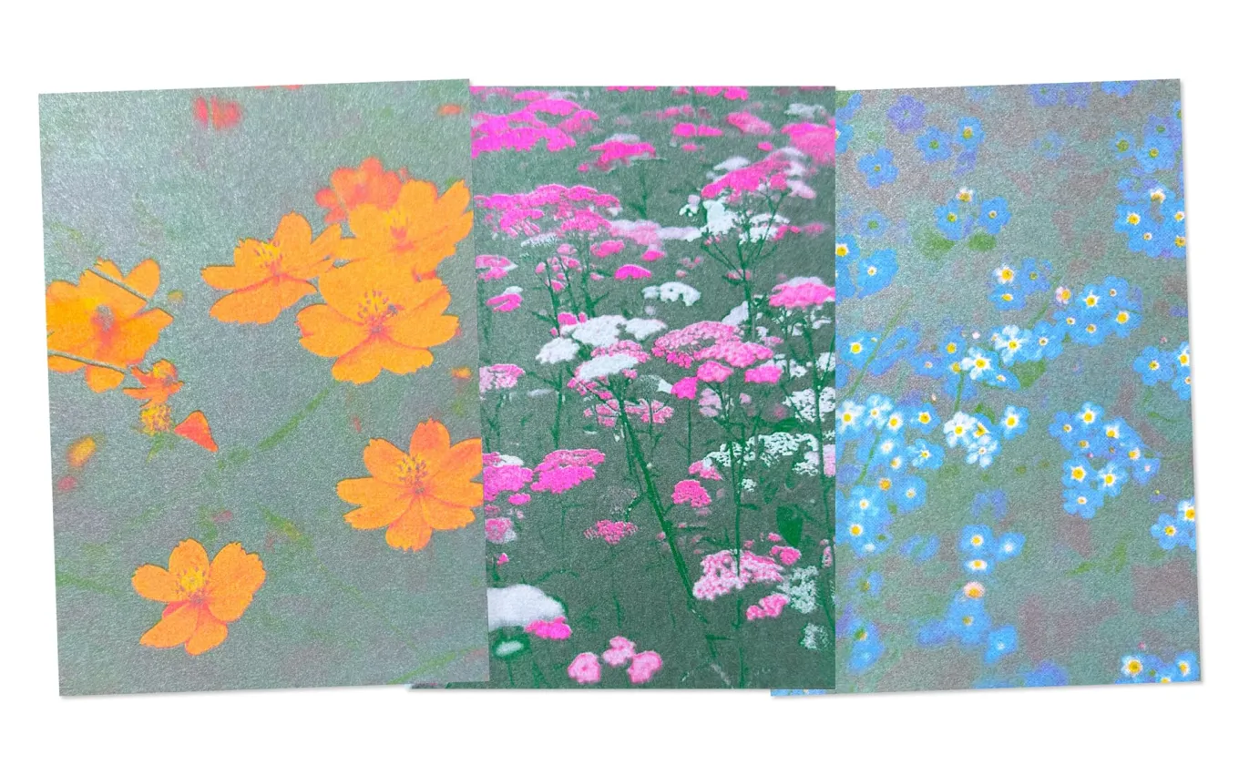 Postkarten-Set Riso