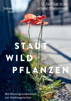Stadt Wild Pflanzen