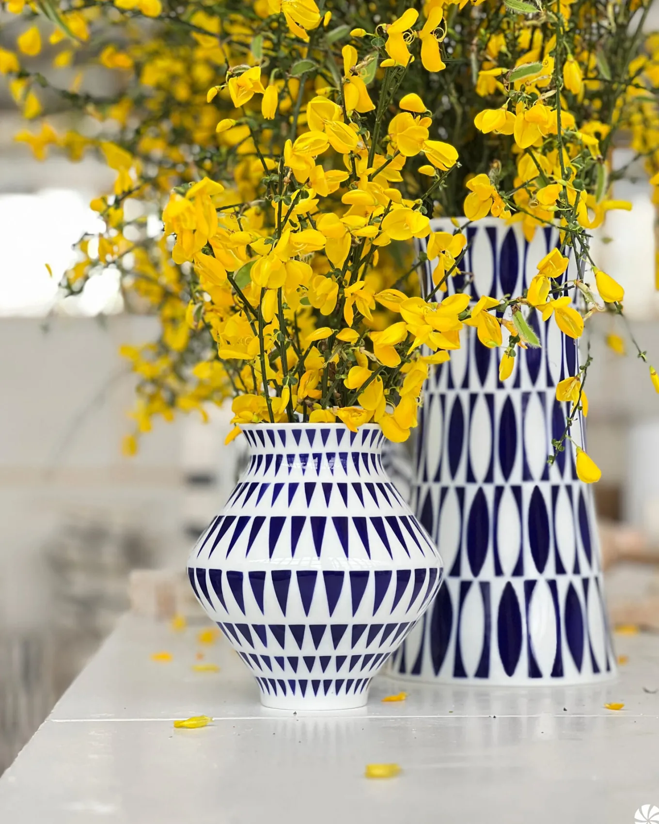 Vase Belis