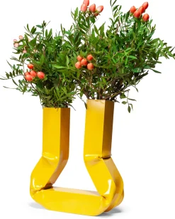 Vase Vasi