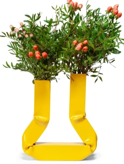 Vase Vasi
