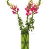 Vase Weinflasche