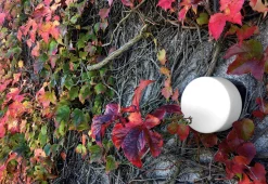 Wand- und Deckenleuchte Zylinder LED